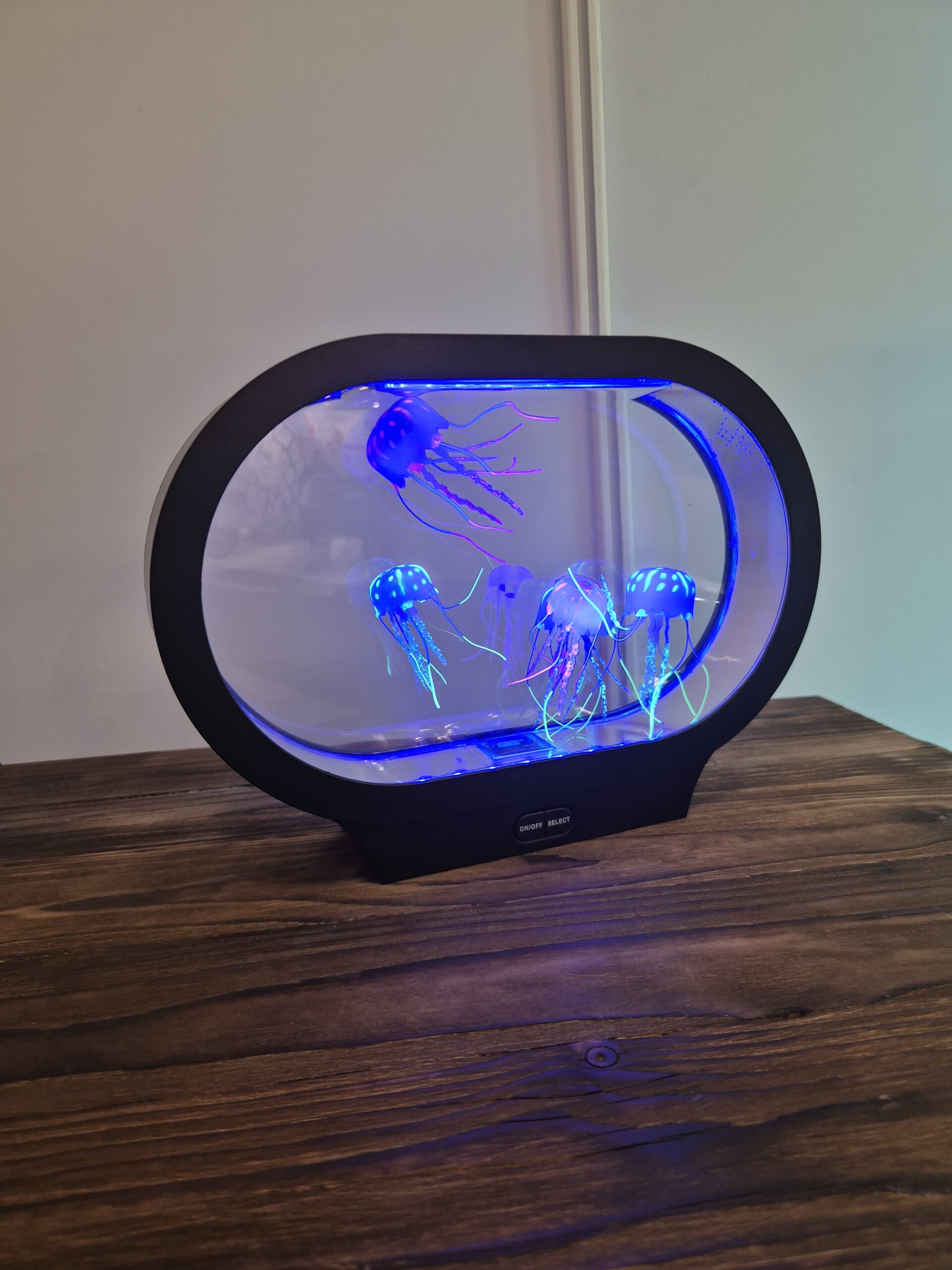 Meduusalamppu
